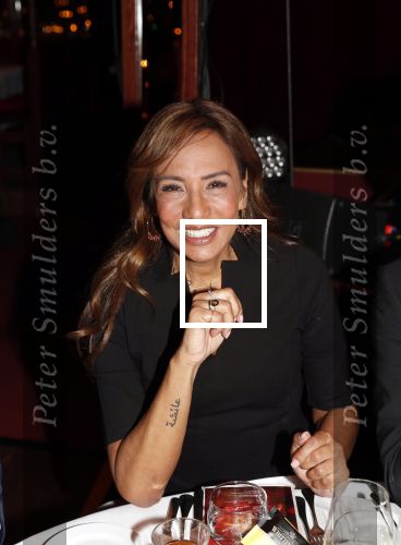 Amsterdam 21 november 2018
Premiere Palazzo naast de Amsterdam arena. Patty Brard met tatoo
