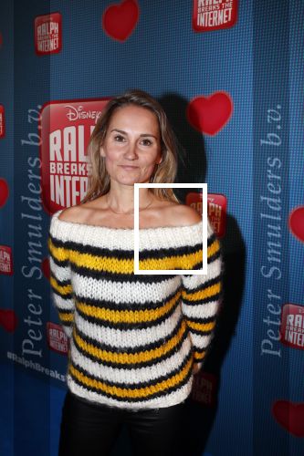 Amsterdam 8 december 2018
Premiere van Ralph Breaks the Internet in Pathe Arena. Peggy Vrijens
