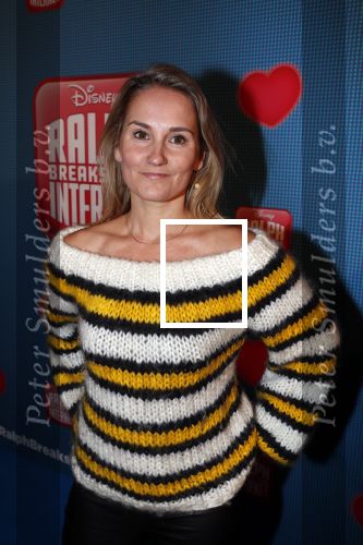 Amsterdam 8 december 2018
Premiere van Ralph Breaks the Internet in Pathe Arena. Peggy Vrijens