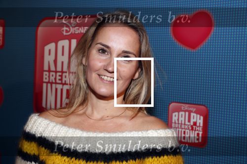 Amsterdam 8 december 2018
Premiere van Ralph Breaks the Internet in Pathe Arena. Peggy Vrijens