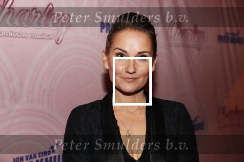 Rotterdam 9 december 2018
Premiere Charley in het oude Luxor theater. Peggy Vrijens