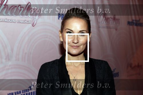 Rotterdam 9 december 2018
Premiere Charley in het oude Luxor theater. Peggy Vrijens
