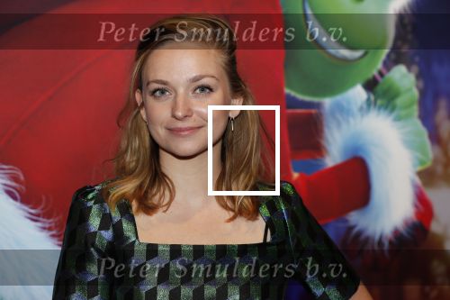 Amsterdam 24 november 2018
Premiere van de Grinch in pathe arena.
Pip Pellens