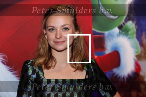Amsterdam 24 november 2018
Premiere van de Grinch in pathe arena.
Pip Pellens