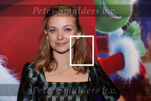Amsterdam 24 november 2018
Premiere van de Grinch in pathe arena.
Pip Pellens