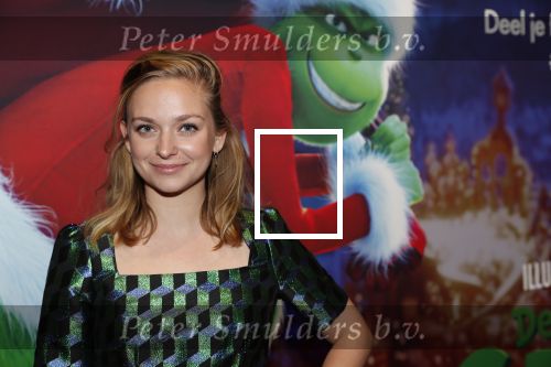 Amsterdam 24 november 2018
Premiere van de Grinch in pathe arena.
Pip Pellens
