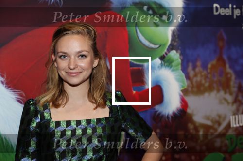 Amsterdam 24 november 2018
Premiere van de Grinch in pathe arena.
Pip Pellens