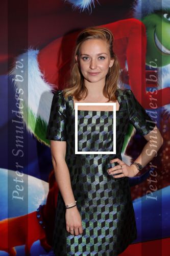Amsterdam 24 november 2018
Premiere van de Grinch in pathe arena.
Pip Pellens