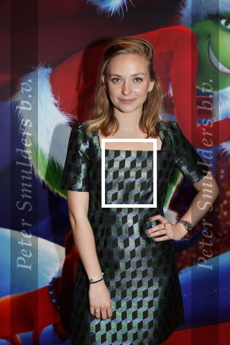 Amsterdam 24 november 2018
Premiere van de Grinch in pathe arena.
Pip Pellens