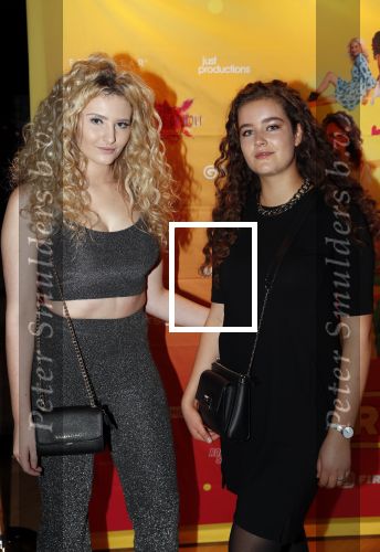 Amsterdam 22 november 2018
Premiere first kiss in het Amsterdam theater.