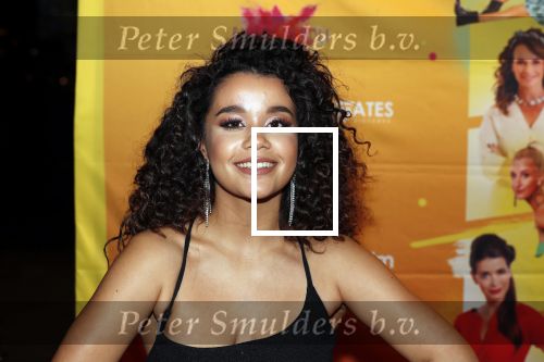 Amsterdam 22 november 2018
Premiere first kiss in het Amsterdam theater. Prescious Bostelaar