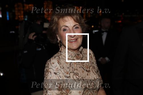 Amsterdam 19 december 2018
Sportman van het jaar verkiezing in afas live. Prinses Margriet in een jurk van Addy v d Krommenacker