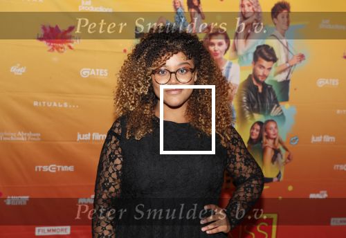 Amsterdam 22 november 2018
Premiere first kiss in het Amsterdam theater. Quinty Misiedjan