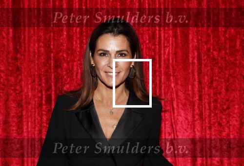Amsterdam 21 november 2018
Premiere Palazzo naast de Amsterdam arena. Quinty Trustfull