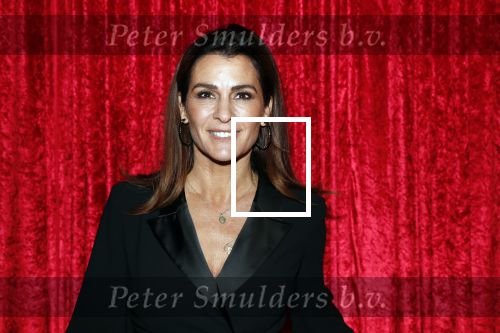 Amsterdam 21 november 2018
Premiere Palazzo naast de Amsterdam arena. Quinty Trustfull