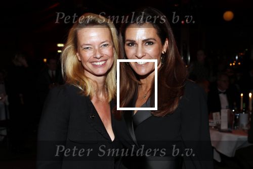 Amsterdam 21 november 2018
Premiere Palazzo naast de Amsterdam arena. Quinty Trustfull en Helen de Boer