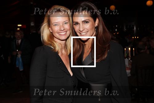 Amsterdam 21 november 2018
Premiere Palazzo naast de Amsterdam arena. Quinty Trustfull en Helen de Boer