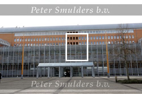 Den Bosch 30 november 2018
Rechtszaak tussen Johan Vlemmix en Patricia Paay. Johan kwam met een look a like pop ( in rolstoel) van zichzelf en Patricia kwam met haar man Robbert Hinfelaar naar de rechtbank in Den Bosch.