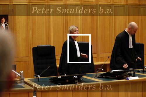 Den Bosch 30 november 2018
Rechtszaak tussen Johan Vlemmix en Patricia Paay. Johan kwam met een look a like pop ( in rolstoel) van zichzelf en Patricia kwam met haar man Robbert Hinfelaar naar de rechtbank in Den Bosch.