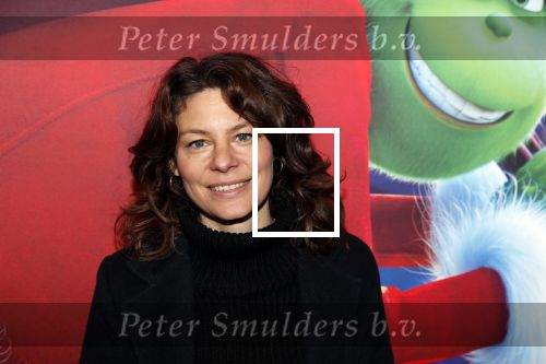 Amsterdam 24 november 2018
Premiere van de Grinch in pathe arena.
Rifka Lodeizen met kinderen