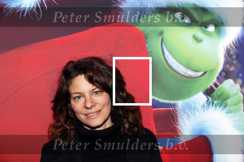 Amsterdam 24 november 2018
Premiere van de Grinch in pathe arena.
Rifka Lodeizen met kinderen