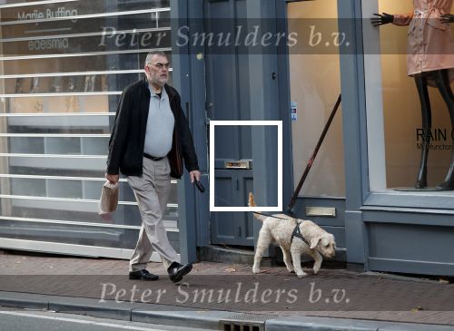 Amsterdam 14 november 2018
Rob Hoogland (telegraaf) laat hond uit.