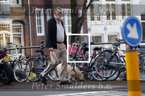 Amsterdam 14 november 2018
Rob Hoogland (telegraaf) laat hond uit.