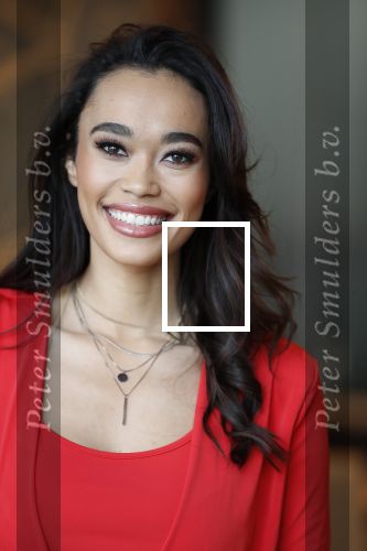 Utrecht 21 november 2018
Presentatie sinterklaas meezingliedjesboek van Romy Monteiro in het FC Utrecht stadion.