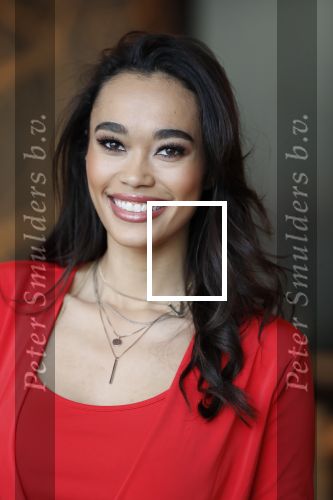 Utrecht 21 november 2018
Presentatie sinterklaas meezingliedjesboek van Romy Monteiro in het FC Utrecht stadion.
