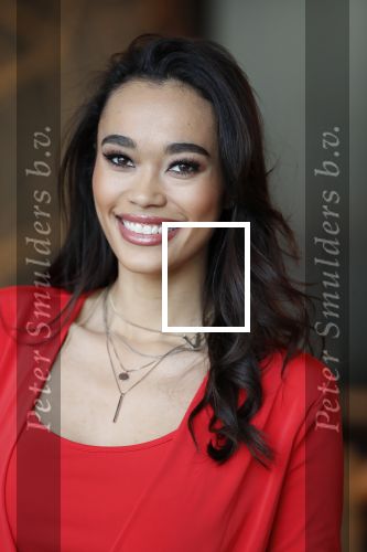 Utrecht 21 november 2018
Presentatie sinterklaas meezingliedjesboek van Romy Monteiro in het FC Utrecht stadion.