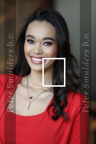 Utrecht 21 november 2018
Presentatie sinterklaas meezingliedjesboek van Romy Monteiro in het FC Utrecht stadion.