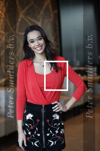 Utrecht 21 november 2018
Presentatie sinterklaas meezingliedjesboek van Romy Monteiro in het FC Utrecht stadion.
