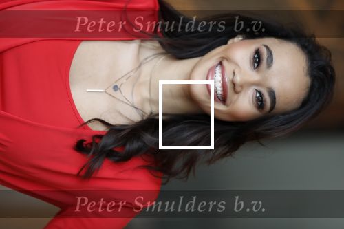 Utrecht 21 november 2018
Presentatie sinterklaas meezingliedjesboek van Romy Monteiro in het FC Utrecht stadion.