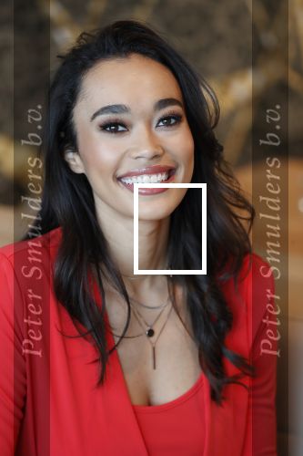 Utrecht 21 november 2018
Presentatie sinterklaas meezingliedjesboek van Romy Monteiro in het FC Utrecht stadion.
