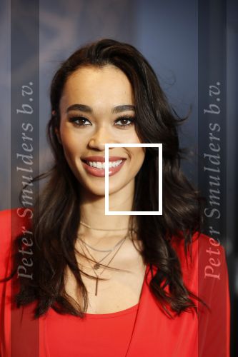 Utrecht 21 november 2018
Presentatie sinterklaas meezingliedjesboek van Romy Monteiro in het FC Utrecht stadion.
