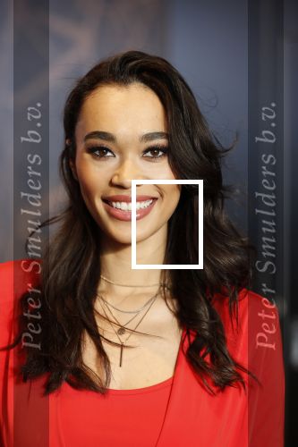 Utrecht 21 november 2018
Presentatie sinterklaas meezingliedjesboek van Romy Monteiro in het FC Utrecht stadion.