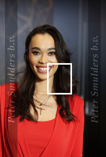 Utrecht 21 november 2018
Presentatie sinterklaas meezingliedjesboek van Romy Monteiro in het FC Utrecht stadion.