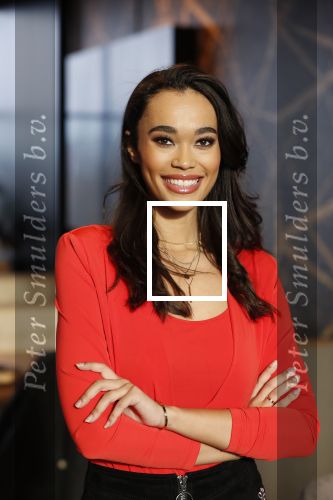 Utrecht 21 november 2018
Presentatie sinterklaas meezingliedjesboek van Romy Monteiro in het FC Utrecht stadion.