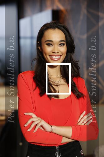 Utrecht 21 november 2018
Presentatie sinterklaas meezingliedjesboek van Romy Monteiro in het FC Utrecht stadion.