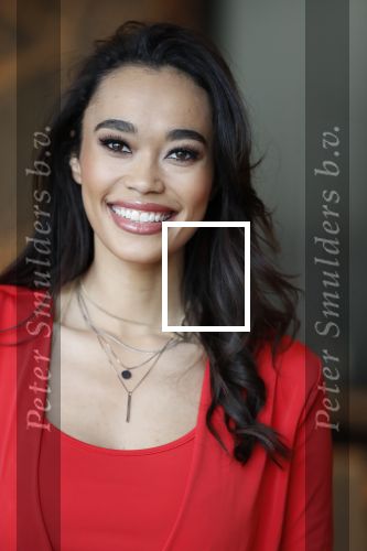 Utrecht 21 november 2018
Presentatie sinterklaas meezingliedjesboek van Romy Monteiro in het FC Utrecht stadion.