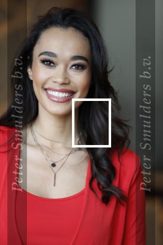 Utrecht 21 november 2018
Presentatie sinterklaas meezingliedjesboek van Romy Monteiro in het FC Utrecht stadion.