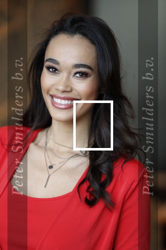 Utrecht 21 november 2018
Presentatie sinterklaas meezingliedjesboek van Romy Monteiro in het FC Utrecht stadion.