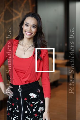 Utrecht 21 november 2018
Presentatie sinterklaas meezingliedjesboek van Romy Monteiro in het FC Utrecht stadion.
