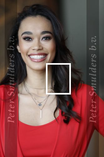 Utrecht 21 november 2018
Presentatie sinterklaas meezingliedjesboek van Romy Monteiro in het FC Utrecht stadion.