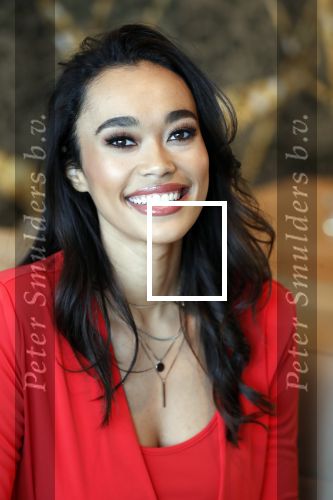 Utrecht 21 november 2018
Presentatie sinterklaas meezingliedjesboek van Romy Monteiro in het FC Utrecht stadion.