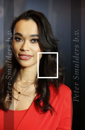 Utrecht 21 november 2018
Presentatie sinterklaas meezingliedjesboek van Romy Monteiro in het FC Utrecht stadion.