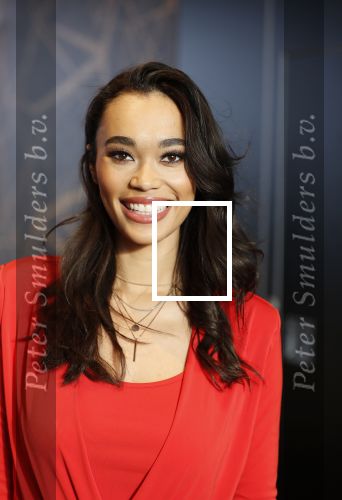 Utrecht 21 november 2018
Presentatie sinterklaas meezingliedjesboek van Romy Monteiro in het FC Utrecht stadion.