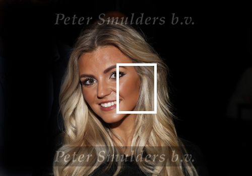 Amsterdam 13 november 2018
Presentatie TAG Heuer horloge van Max Verstappen in Hotel Arena. Robert Doornbos en Rob Kamphues doen de presentatie. Roos v d Aa (Style my day) met Floris Weijers