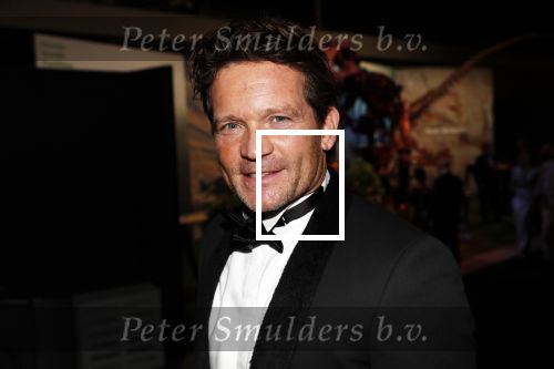 Amsterdam 6 december 2018
Openingsavond VIP van de luxery fair in de RAI. sander janson