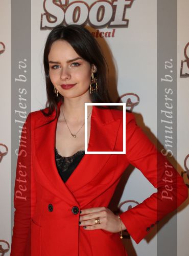 Breda, 18 November 2018
Premiere Musical Soof.
Sarah Nauta